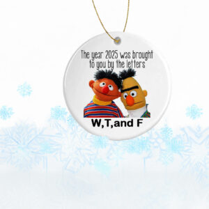 Funny WTF 2025 Christmas Ornament – Hilarious Holiday Keepsake Gift